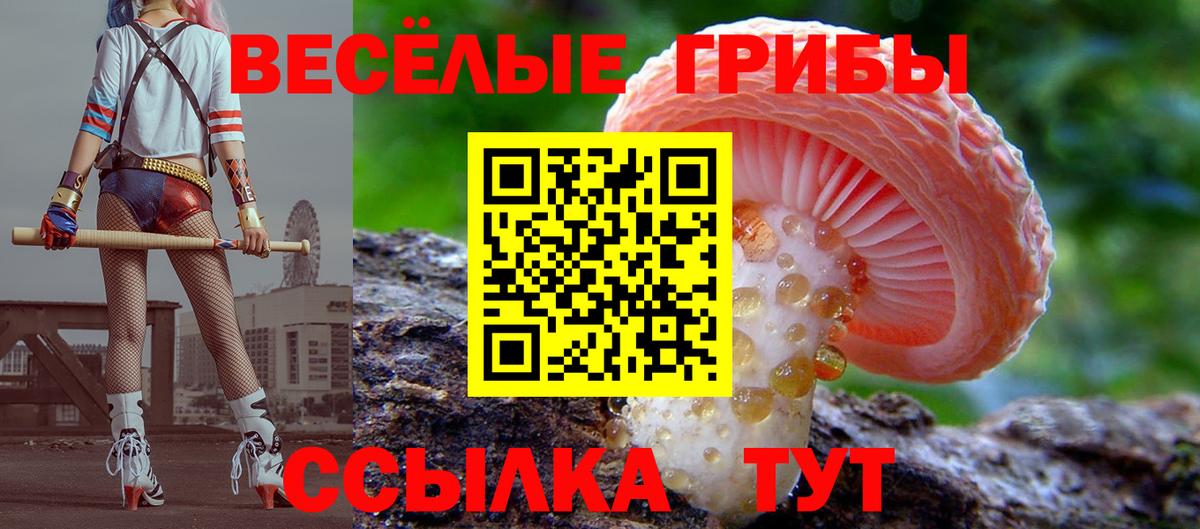 Псилоцибиновые грибы прущие грибы  хочу   Чехов  Галлюциногенные грибы Magic Shrooms  Вход с VPN 